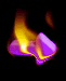 Fire Services
